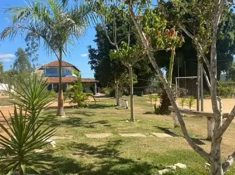 Clínica de Recuperação em Divinópolis - MG Gramado com caminho de lajotas, uma palmeira e árvores, com um sobrado ao fundo